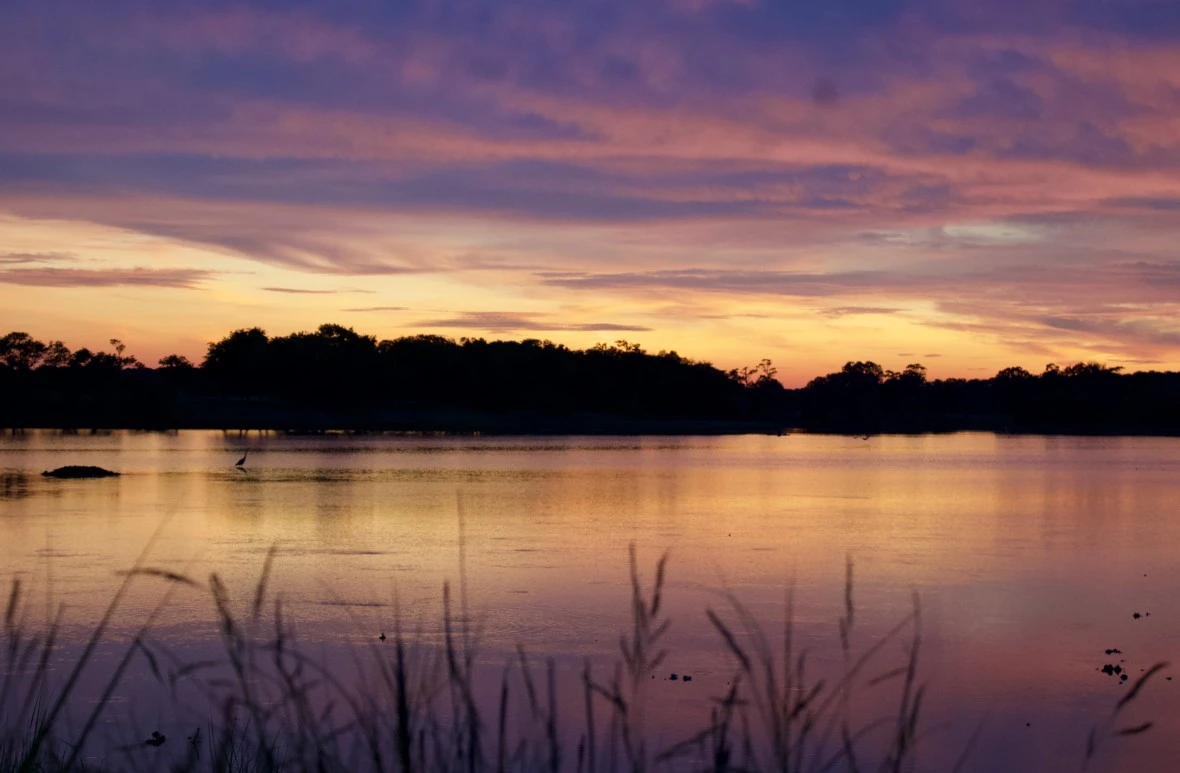 Image for It's okay to feel